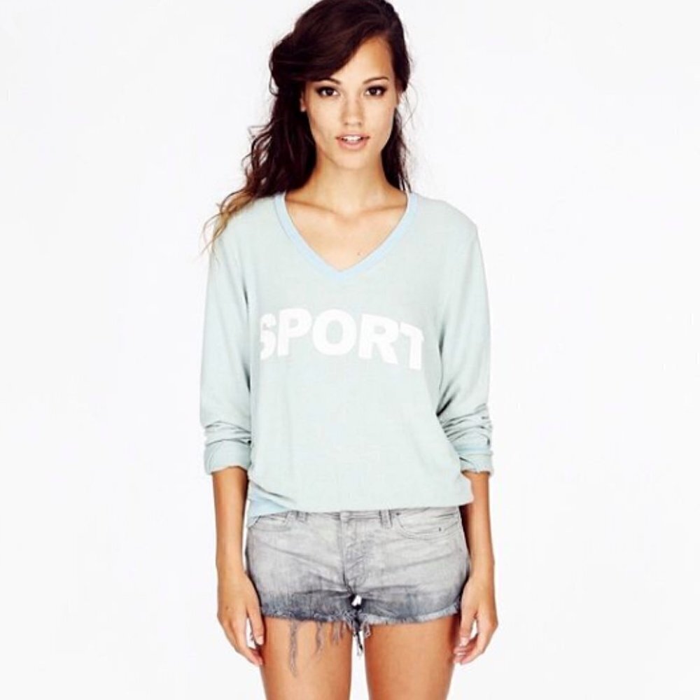 Wildfox Blue V Neck Pullover XS